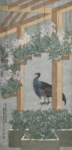鿴ͼ